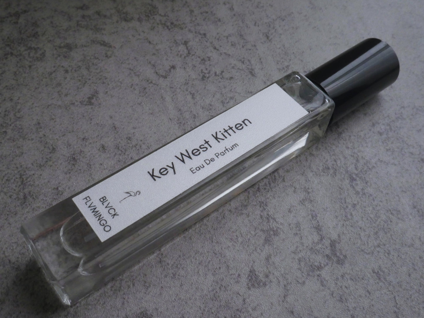 Key West Kitten image 2