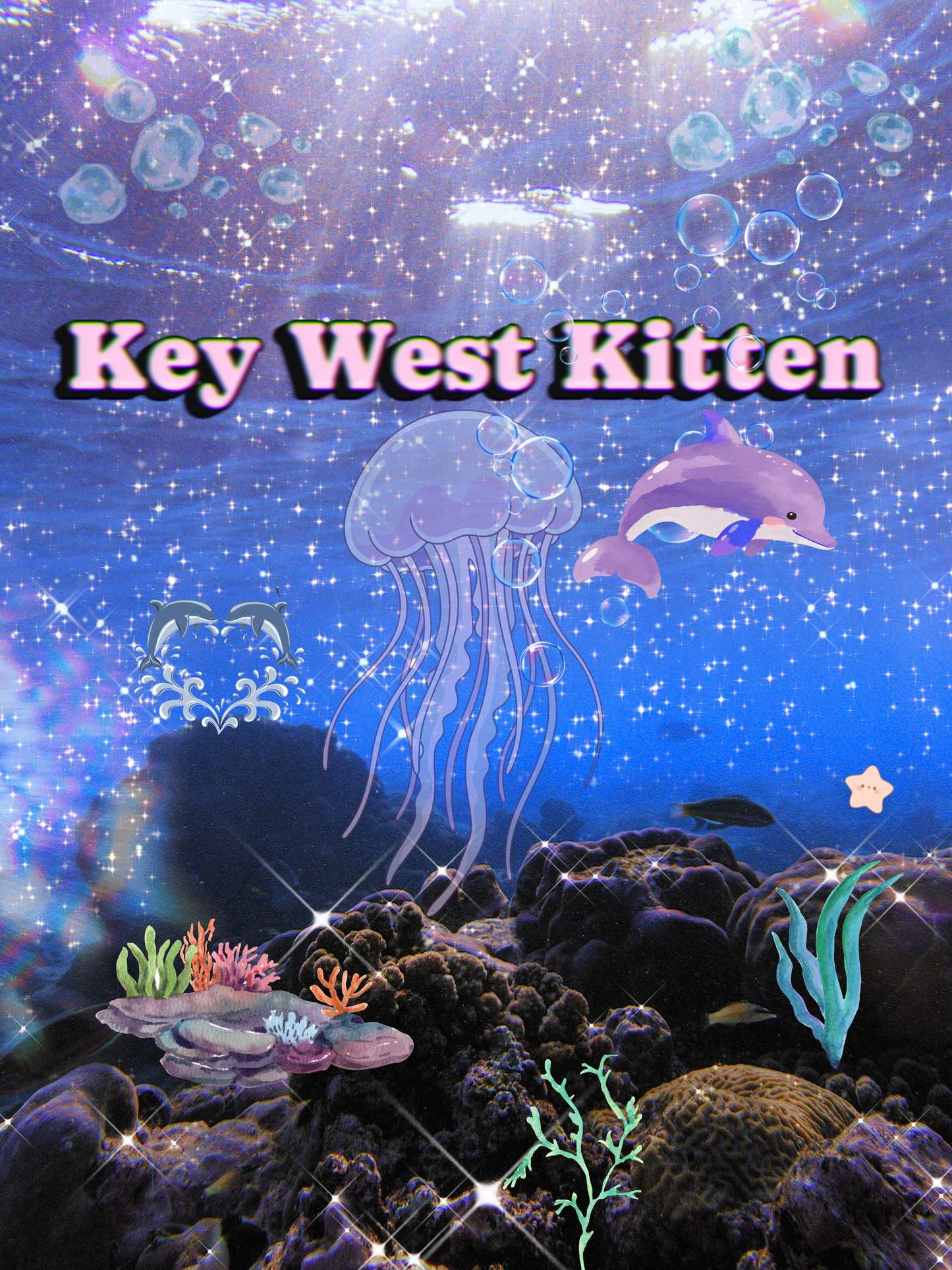 Key West Kitten