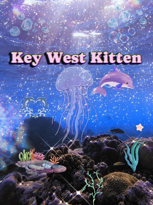 Key West Kitten
