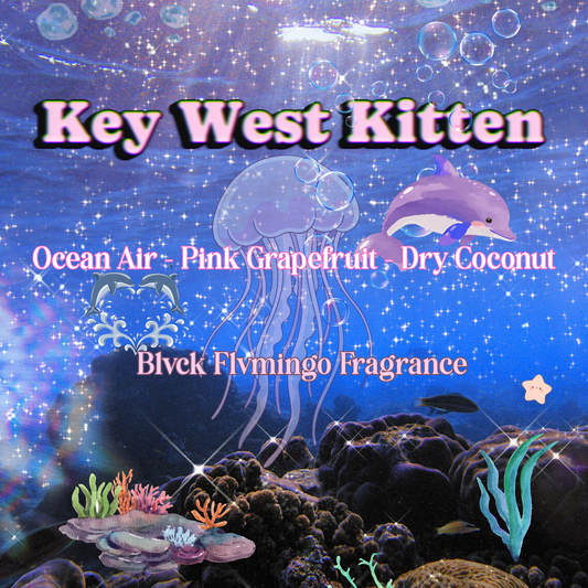 Key West Kitten