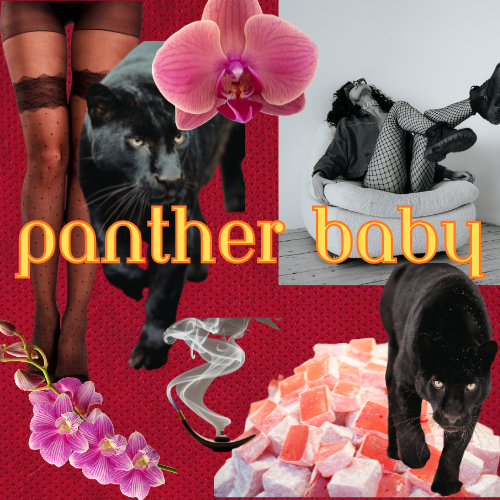 Panther Baby