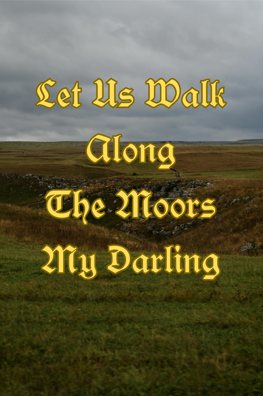 Let Us Walk Along The Moors My Darling - LE